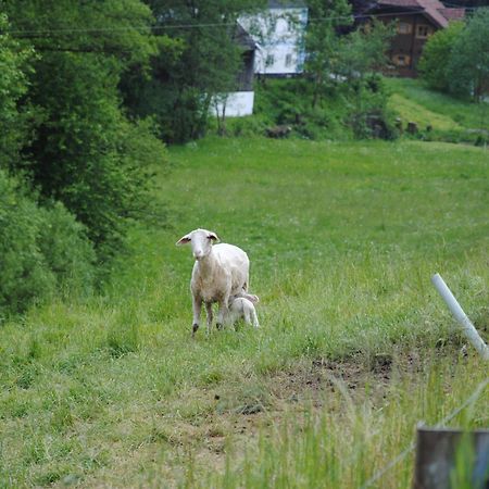 Landgasthof Seyrlberg Reichenau im Mühlkreis Exterior foto